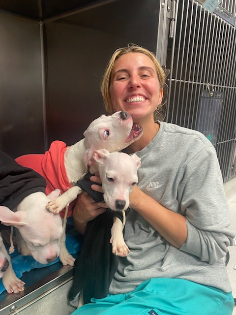 Dr Kennedy with 3 puppies