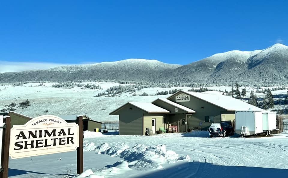 Tobacco Valley Animal Shelter building