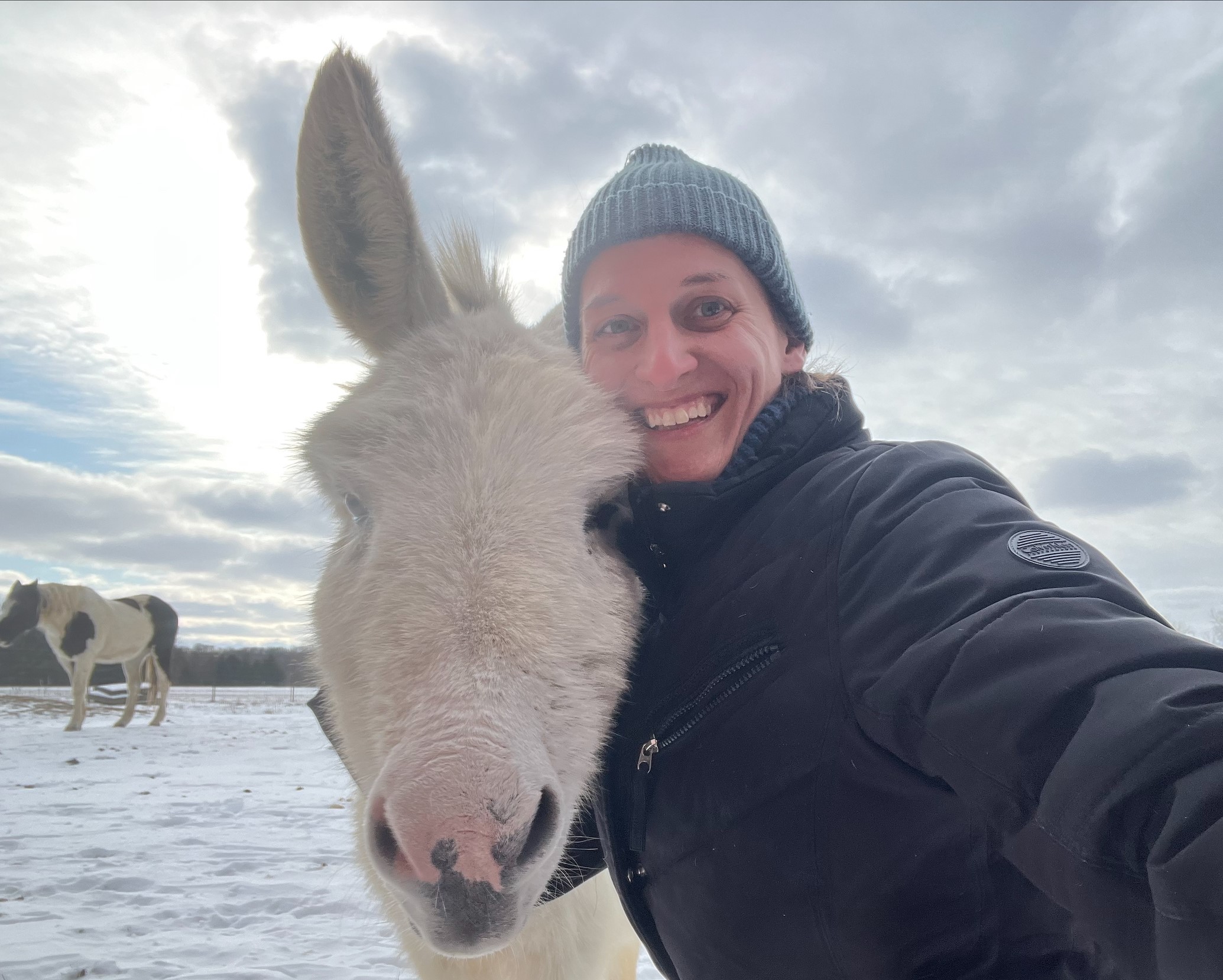 Dr Fanning smiling with horse in a snowy field